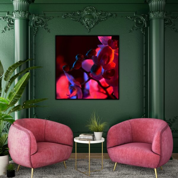 Obraz podświetlany "Neonowe orchidee" | Makro - Led's Design