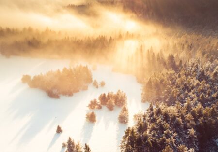Obraz podświetlany "Mgła nad lasem" | Natura - LED'S Design
